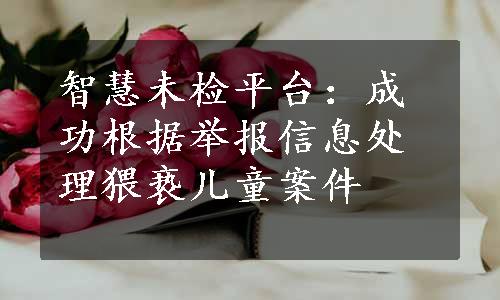 智慧未检平台：成功根据举报信息处理猥亵儿童案件