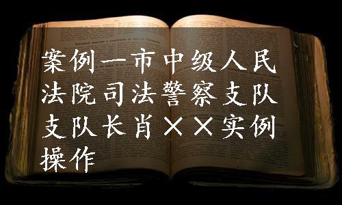 案例一市中级人民法院司法警察支队支队长肖××实例操作