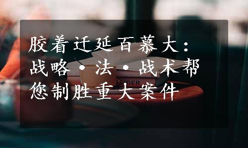 胶着迁延百慕大：战略·法·战术帮您制胜重大案件