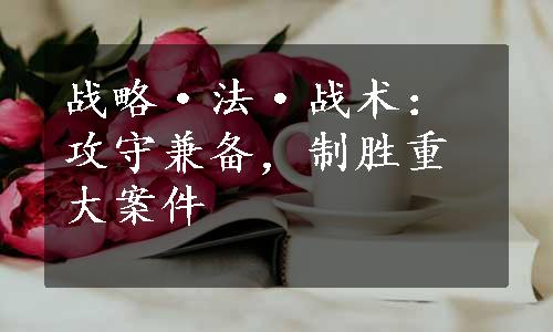 战略·法·战术：攻守兼备，制胜重大案件