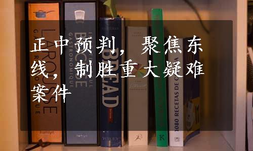 正中预判，聚焦东线，制胜重大疑难案件