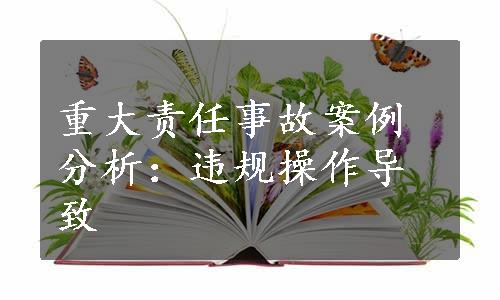 重大责任事故案例分析：违规操作导致