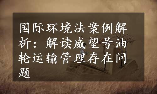 国际环境法案例解析：解读威望号油轮运输管理存在问题