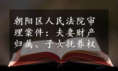 朝阳区人民法院审理案件：夫妻财产归属、子女抚养权