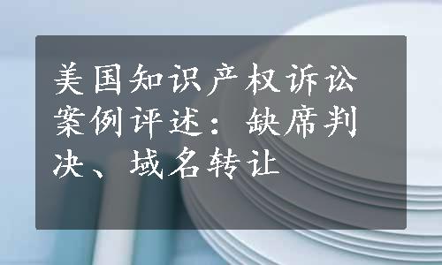 美国知识产权诉讼案例评述：缺席判决、域名转让