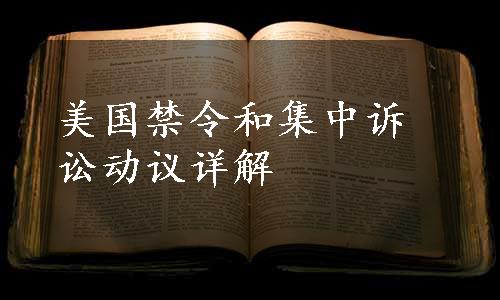 美国禁令和集中诉讼动议详解