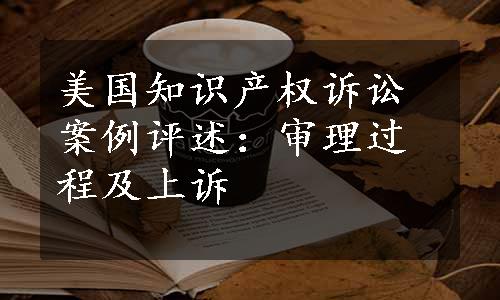 美国知识产权诉讼案例评述：审理过程及上诉