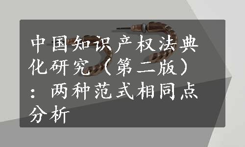 中国知识产权法典化研究（第二版）：两种范式相同点分析