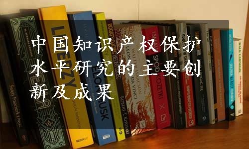 中国知识产权保护水平研究的主要创新及成果