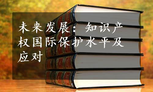 未来发展：知识产权国际保护水平及应对