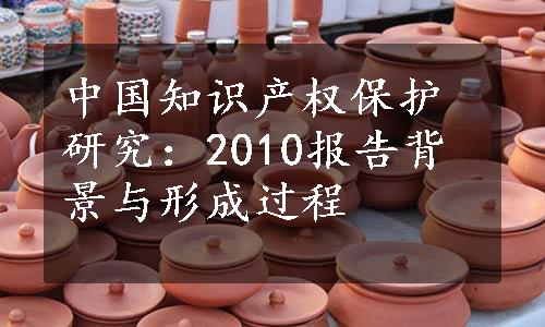 中国知识产权保护研究：2010报告背景与形成过程