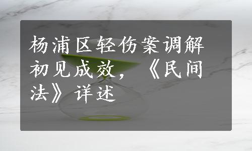 杨浦区轻伤案调解初见成效，《民间法》详述