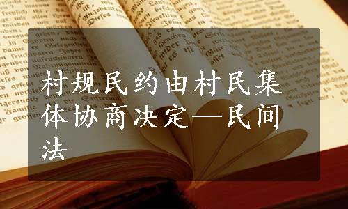 村规民约由村民集体协商决定—民间法