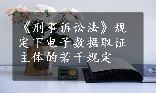 《刑事诉讼法》规定下电子数据取证主体的若干规定