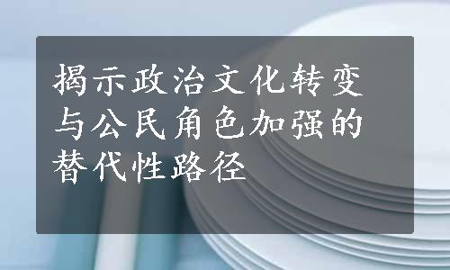 揭示政治文化转变与公民角色加强的替代性路径