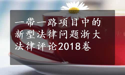 一带一路项目中的新型法律问题浙大法律评论2018卷