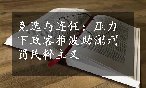 竞选与连任：压力下政客推波助澜刑罚民粹主义