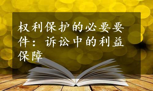 权利保护的必要要件：诉讼中的利益保障