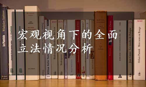 宏观视角下的全面立法情况分析