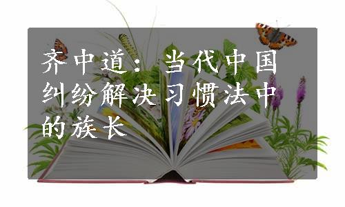 齐中道：当代中国纠纷解决习惯法中的族长