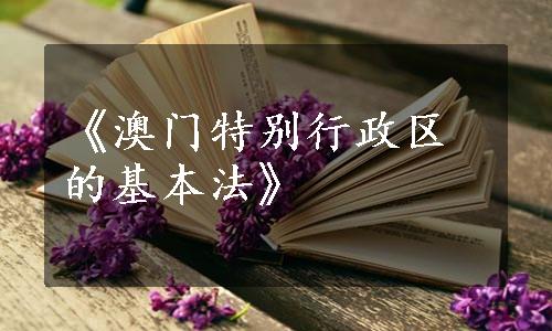 《澳门特别行政区的基本法》