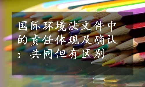 国际环境法文件中的责任体现及确认：共同但有区别