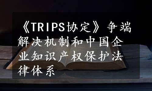 《TRIPS协定》争端解决机制和中国企业知识产权保护法律体系