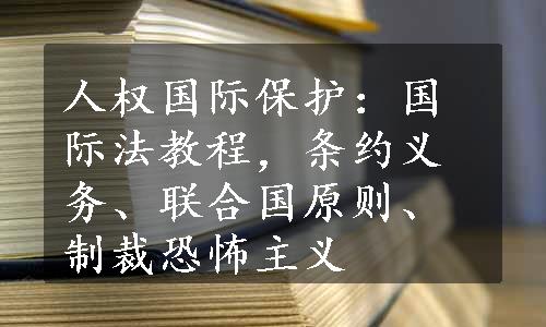 人权国际保护：国际法教程，条约义务、联合国原则、制裁恐怖主义