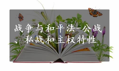 战争与和平法-公战、私战和主权特性