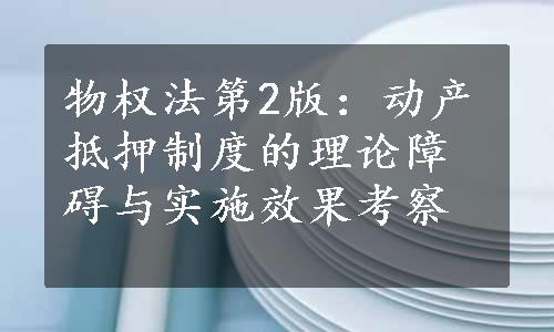 物权法第2版：动产抵押制度的理论障碍与实施效果考察