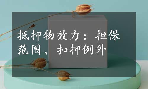 抵押物效力：担保范围、扣押例外