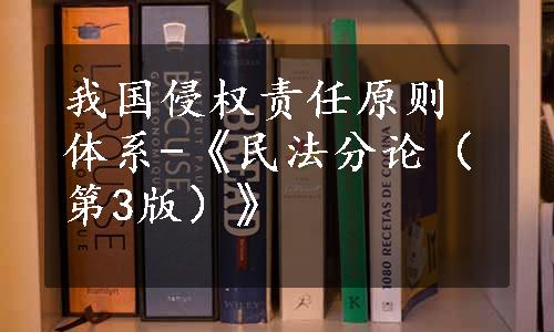 我国侵权责任原则体系-《民法分论（第3版）》