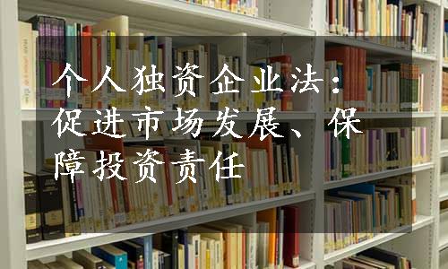 个人独资企业法：促进市场发展、保障投资责任