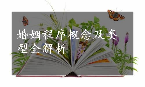 婚姻程序概念及类型全解析