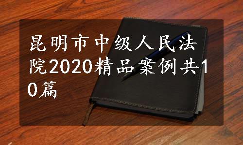 昆明市中级人民法院2020精品案例共10篇