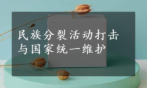 民族分裂活动打击与国家统一维护