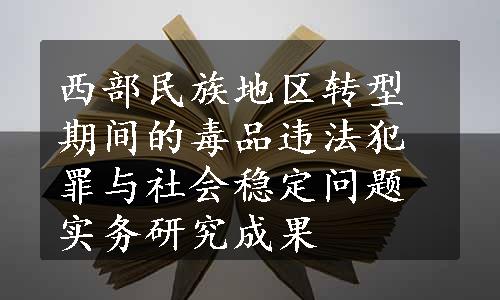 西部民族地区转型期间的毒品违法犯罪与社会稳定问题实务研究成果