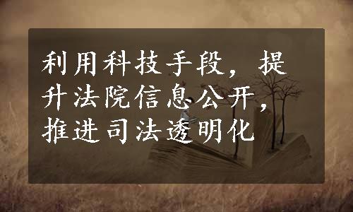 利用科技手段，提升法院信息公开，推进司法透明化