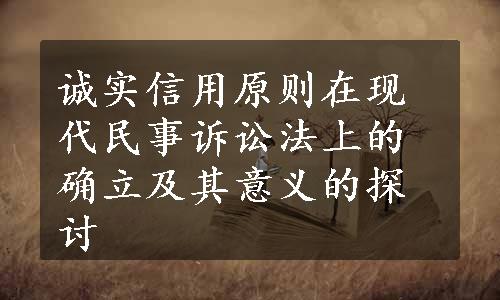 诚实信用原则在现代民事诉讼法上的确立及其意义的探讨