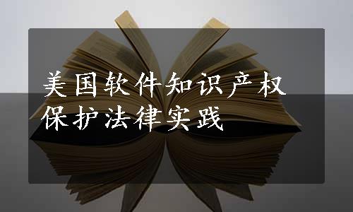 美国软件知识产权保护法律实践