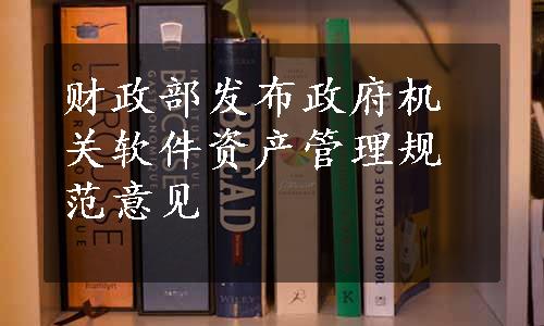 财政部发布政府机关软件资产管理规范意见