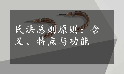 民法总则原则：含义、特点与功能