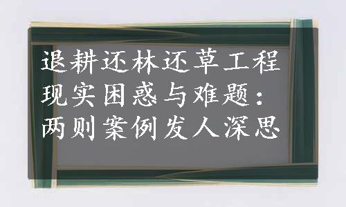 退耕还林还草工程现实困惑与难题：两则案例发人深思