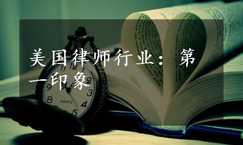 美国律师行业：第一印象