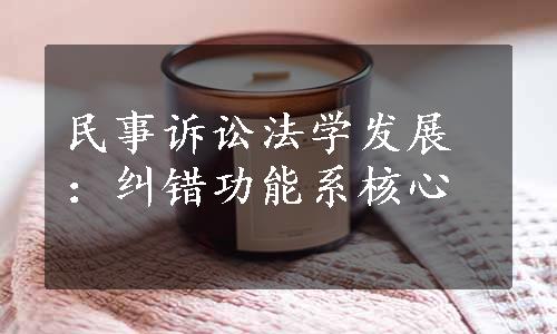 民事诉讼法学发展：纠错功能系核心