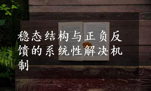 稳态结构与正负反馈的系统性解决机制