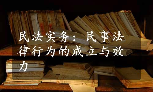 民法实务：民事法律行为的成立与效力