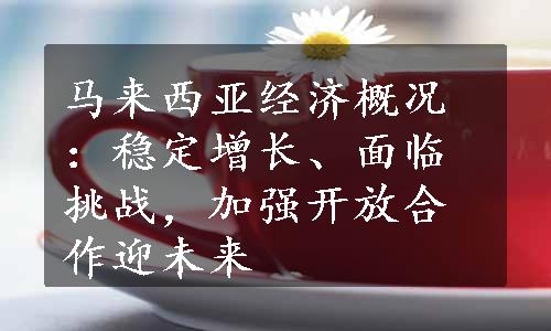 马来西亚经济概况：稳定增长、面临挑战，加强开放合作迎未来