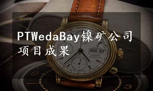 PTWedaBay镍矿公司项目成果