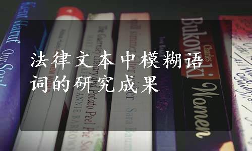 法律文本中模糊语词的研究成果